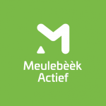 Stichting De Meulebèèk Actief